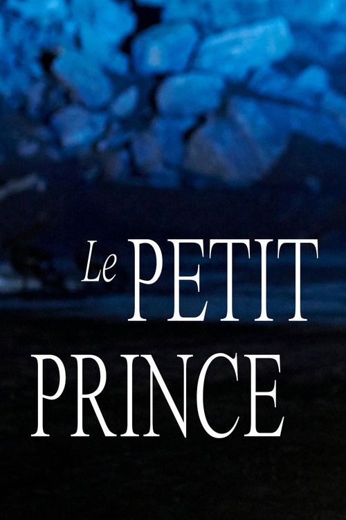 Le Petit Prince – théâtre musical (2020) poster