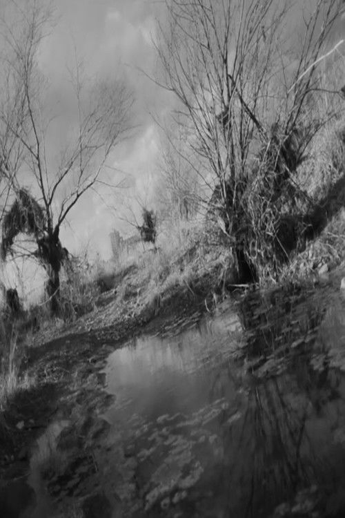 A Riverscape (2018) poster