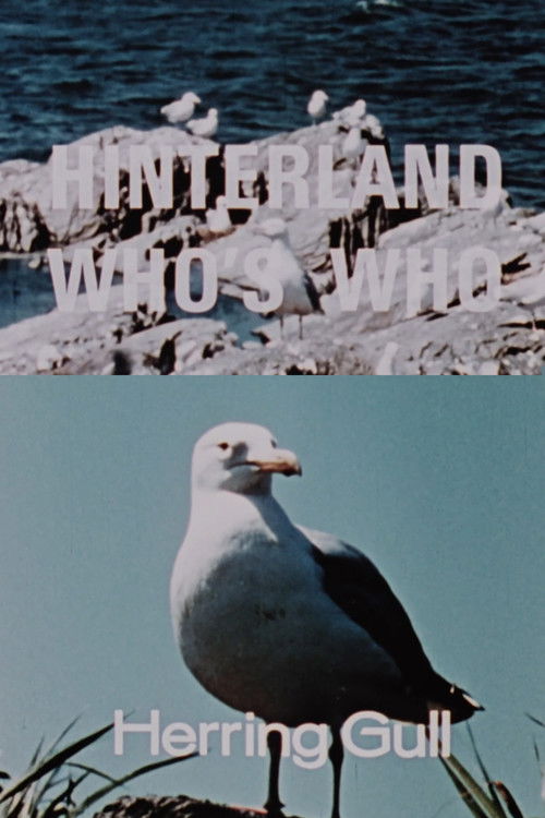Hinterland Who's Who: Herring Gull (1967) poster