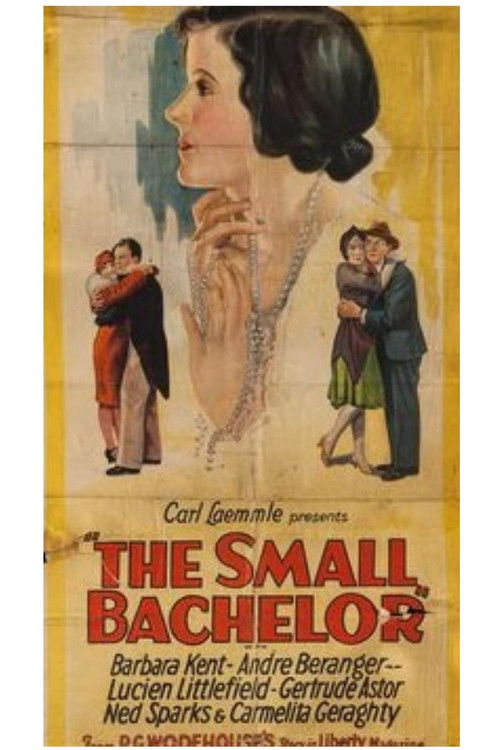 The Small Bachelor (1927) poster