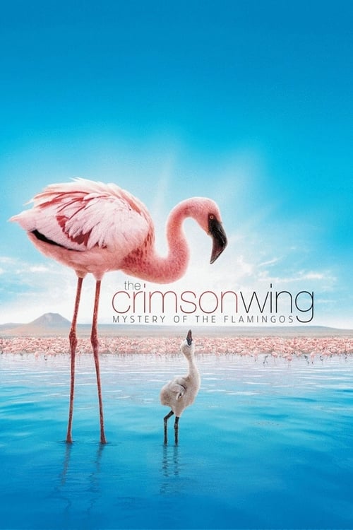 The Crimson Wing: Mystery of the Flamingos (2008) poster