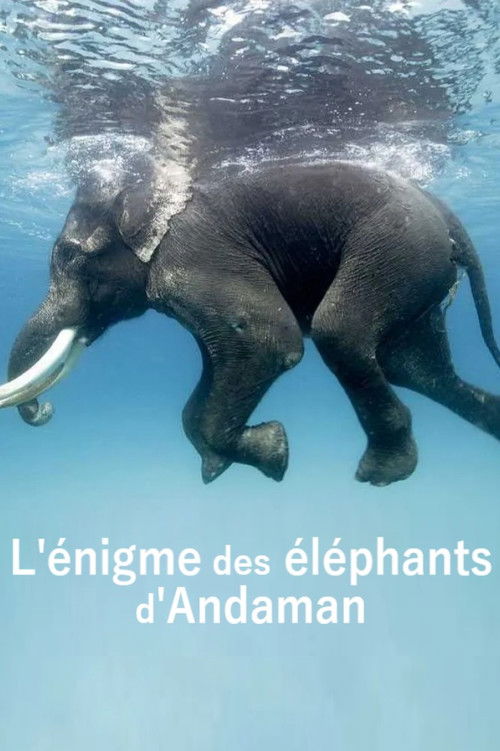L'énigme des éléphants d'Andaman (2023) poster