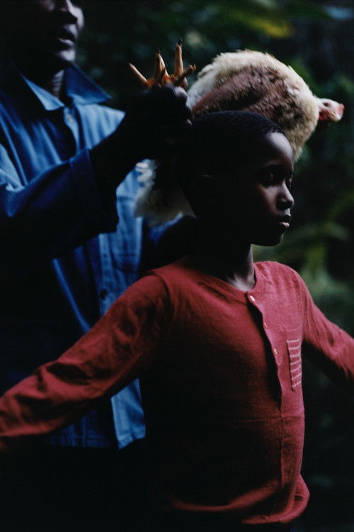 Burnt Milk (2023) poster