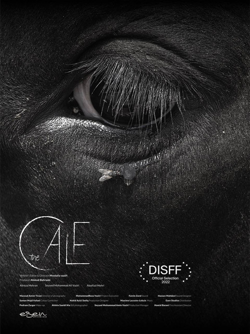 The Calf (2022) poster