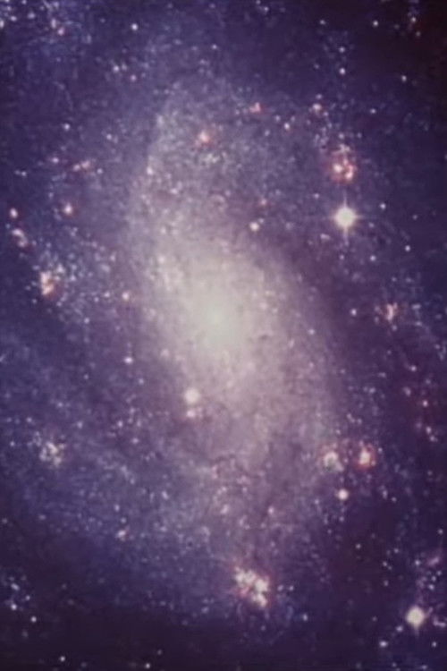 Raumerfahrungen (1994) poster