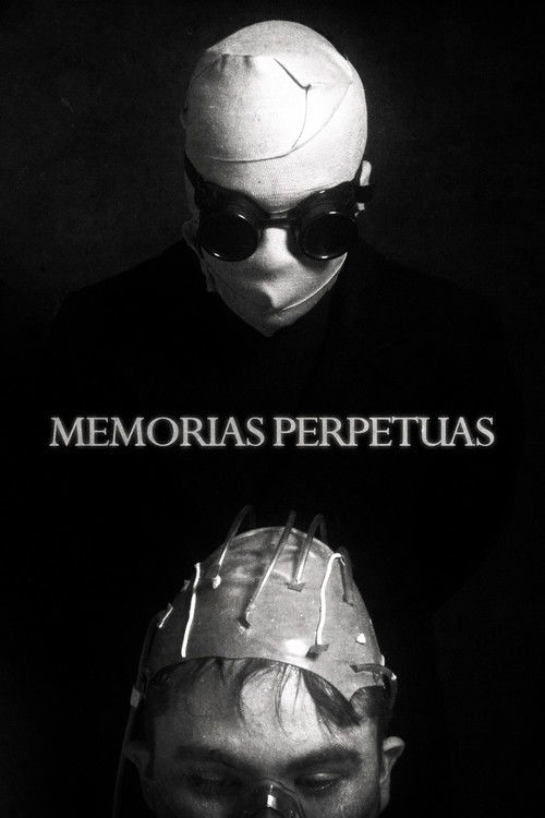 Perpetual memories (2023) poster