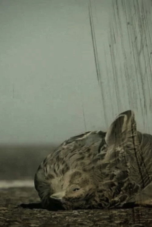 Ángel caído (2011) poster