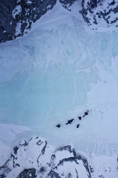 Gardiens de la forêt : Mongolie, la vallée des ours (2023) poster