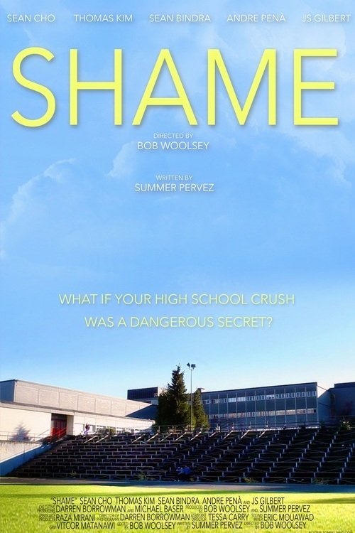 Shame (2013) poster