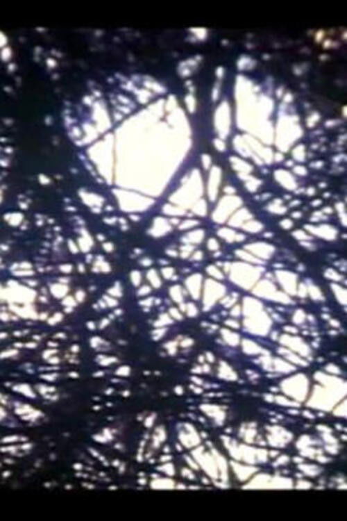 Fragmentos, Primera Impresión en S8 (1999) poster