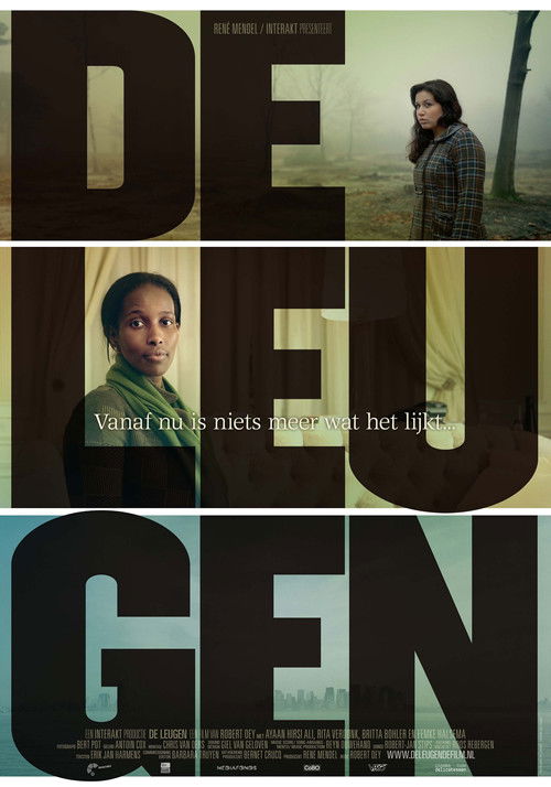 De leugen (2010) poster