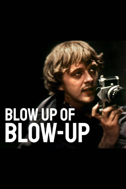 Blow Up of 'Blow-Up' (2016) poster