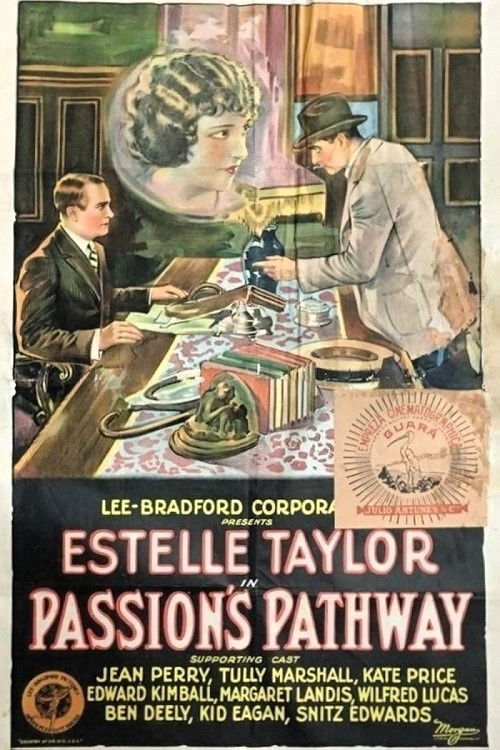 Passion's Pathway (1924) poster