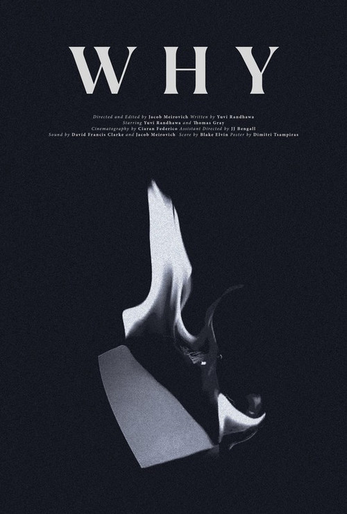 WHY (2022) poster