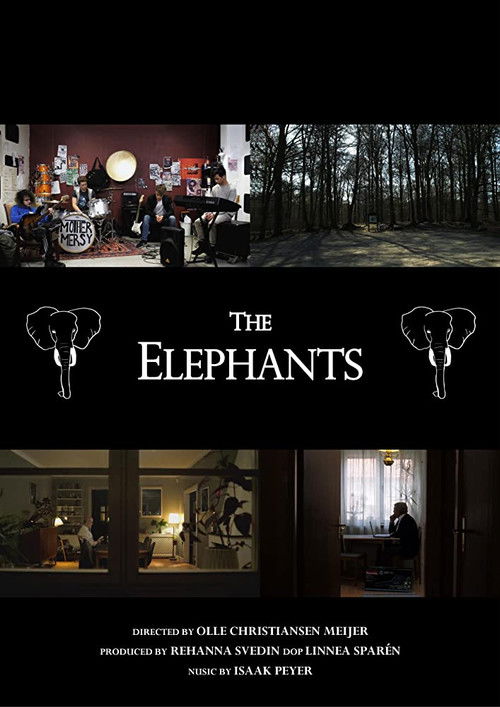 The Elephants (2019) poster