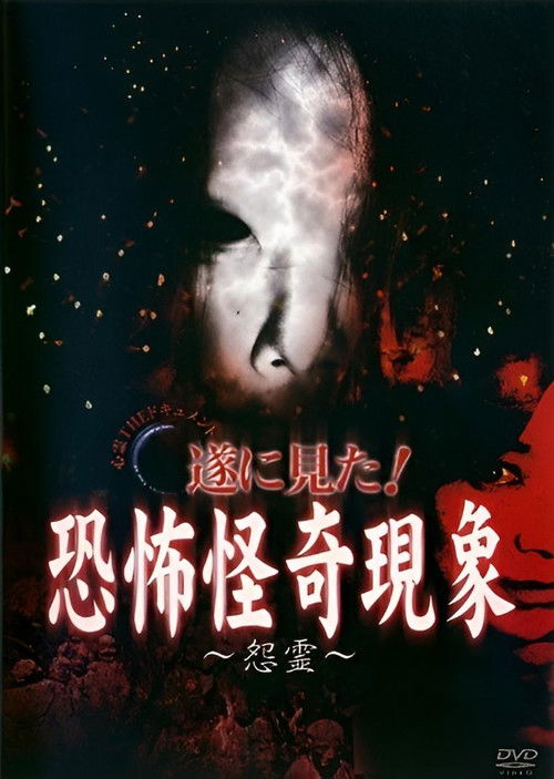 Paranormal THE Documentary: Finally Witnessed! Terrifying and Strange Phenomena - Resentful Spirits (2007) poster