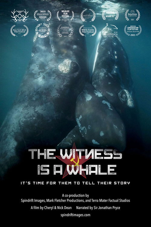 The Witness is a Whale (2022) poster