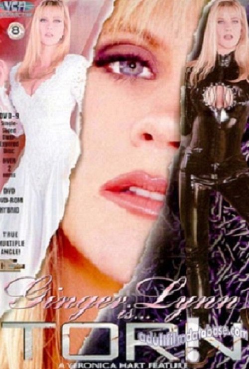 Ginger Lynn is Torn (1999) poster