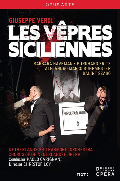 Giuseppe Verdi: Les vêpres siciliennes (2011) poster