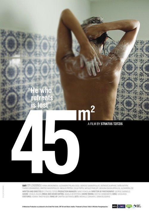45m² (2011) poster