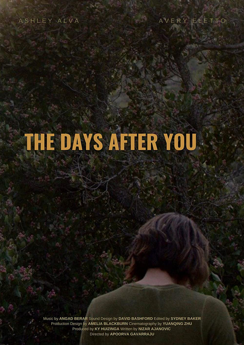 The Days After You (2020) poster