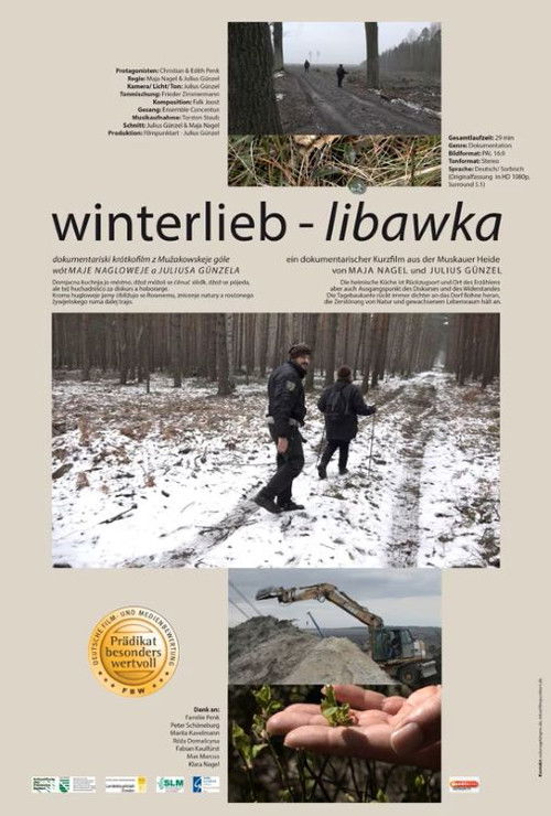 winterlieb - libawka (2020) poster