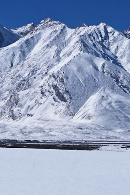 In The Forest One Thing Can Look Like Another (2023) poster