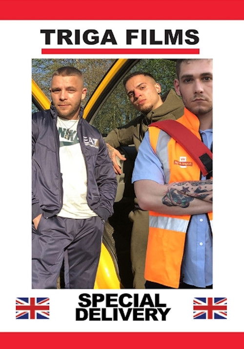 Special Delivery (2016) poster