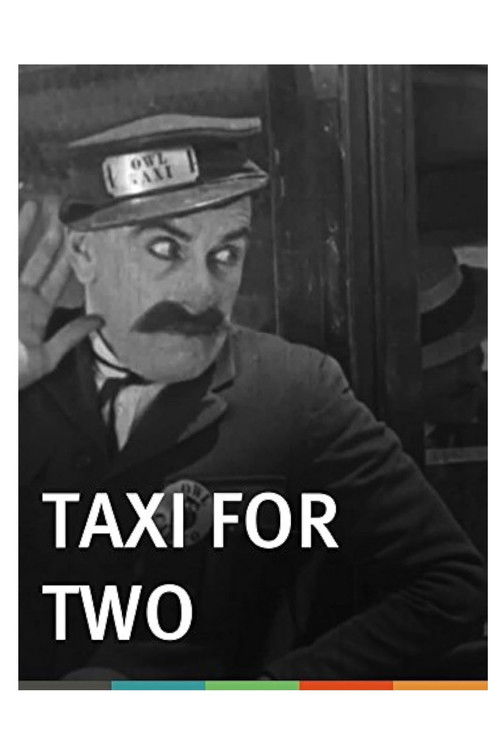Taxi for Two (1928) poster