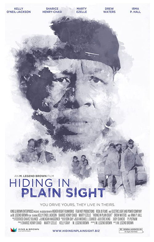Hiding in Plain Sight (2012) poster