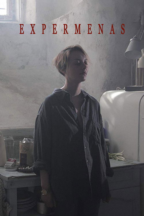 Experman (2012) poster