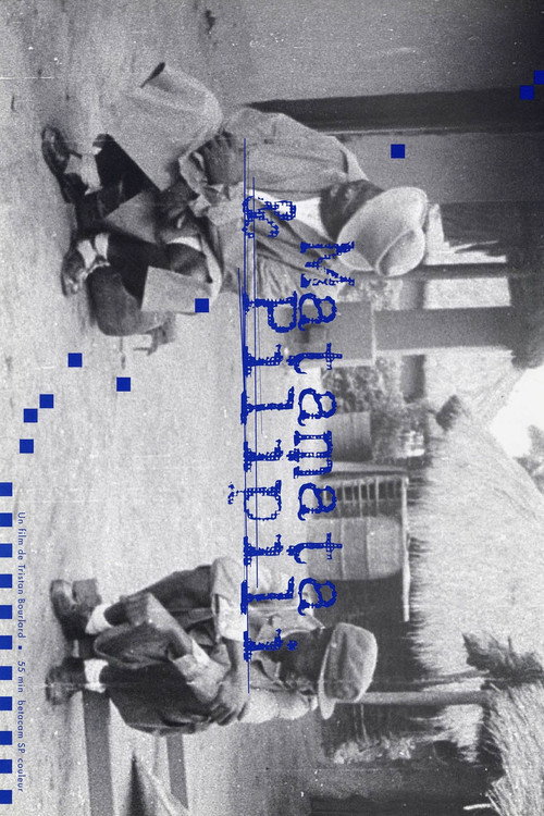 Matamata et Pilipili (1997) poster
