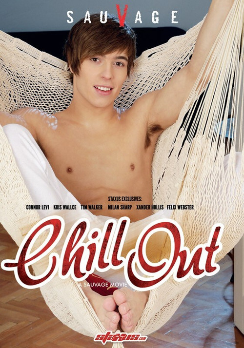 Chill Out (2013) poster