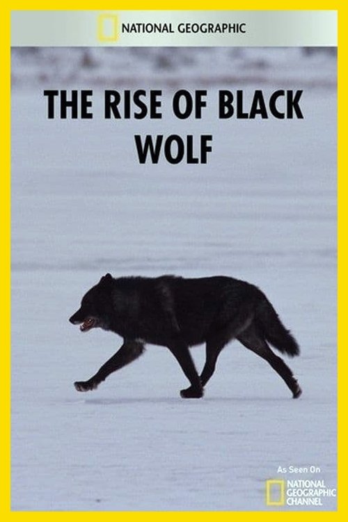 The Rise of Black Wolf (2010) poster