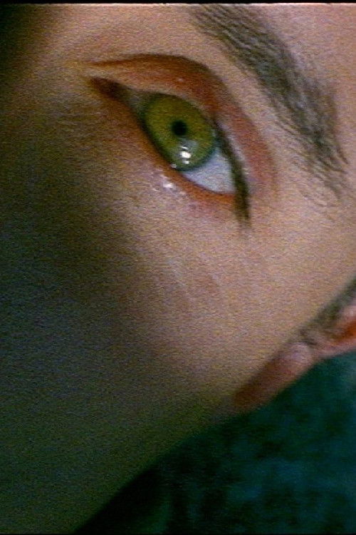 La febbre (1994) poster