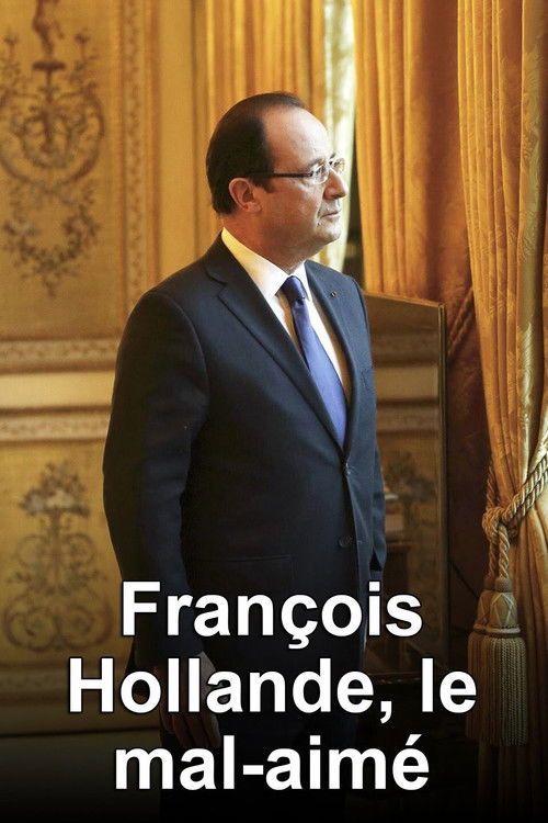 François Hollande, le mal-aimé (2017) poster
