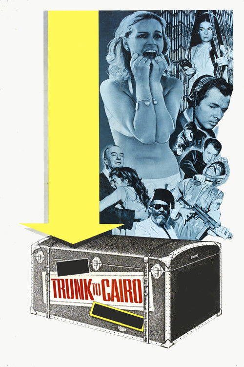 Trunk to Cairo (1966) poster