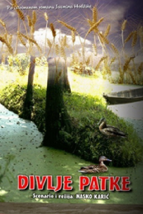 Wild Ducks (2010) poster
