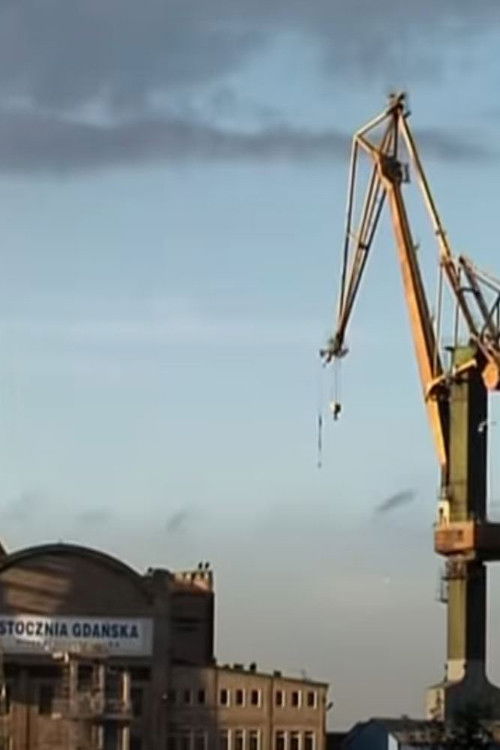 David Gilmour - Gdansk Diary (2008) poster