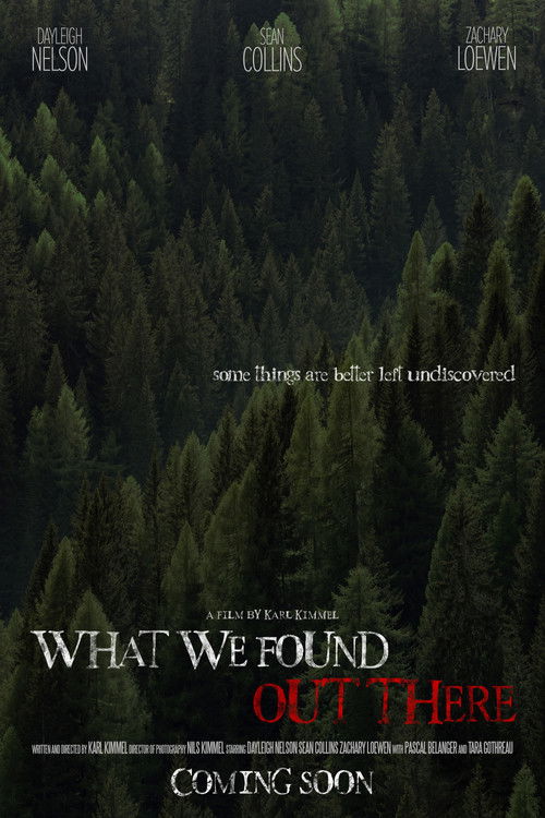 What We Found Out There (2021) poster
