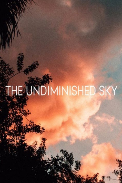 The Undiminished Sky (2017) poster
