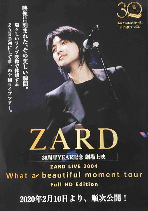 What a beautiful moment (2005) poster