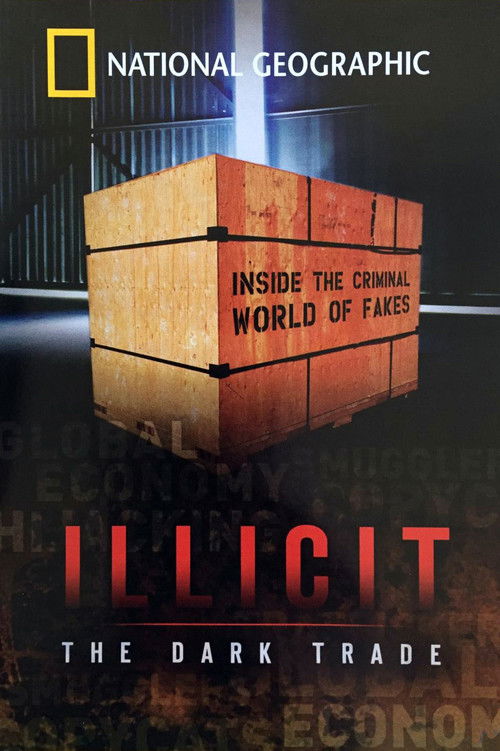 Illicit: The Dark Trade (2008) poster