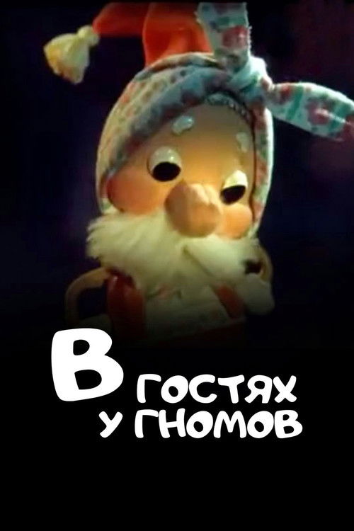 Visiting the Gnomes (1975) poster