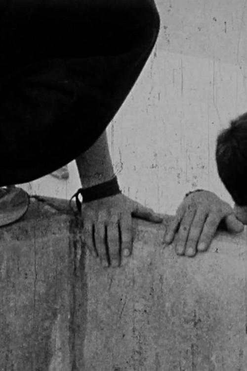 Tic Tac (2011) poster