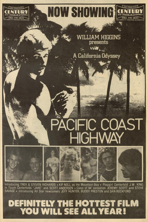 Pacific Coast Highway (1981) poster