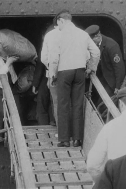 S.S. Saxonia in Liverpool (1901) poster