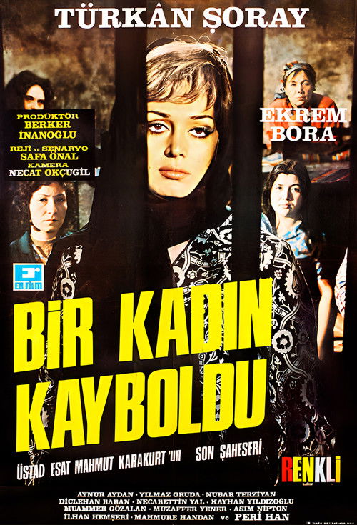 A Woman Vanished (1971) poster