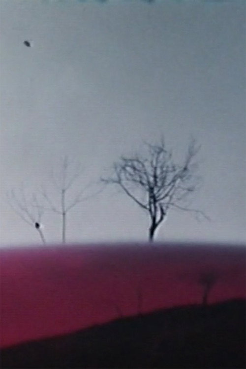 Ho fatto un film a Varese 1° (1970) poster