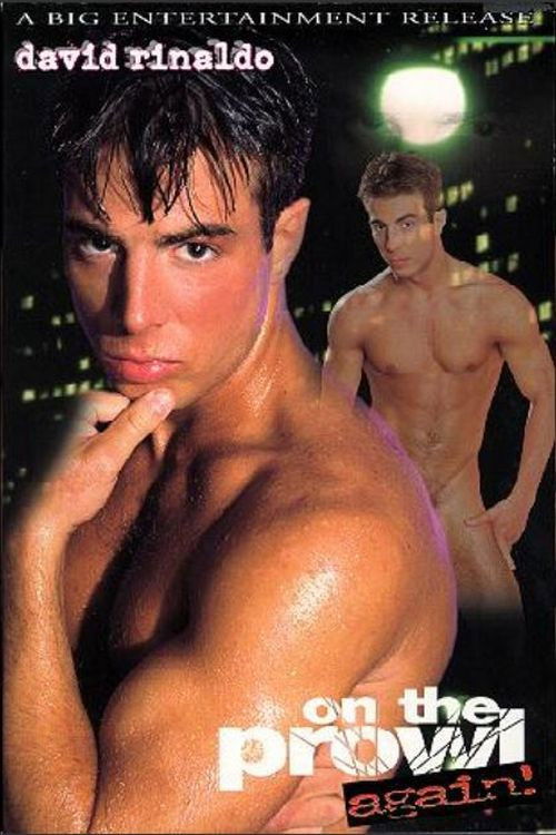 On the Prowl Again! (1997) poster